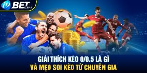 Giải Thích Kèo 0/0.5 Là Gì Và Mẹo Soi Kèo Từ Chuyên Gia