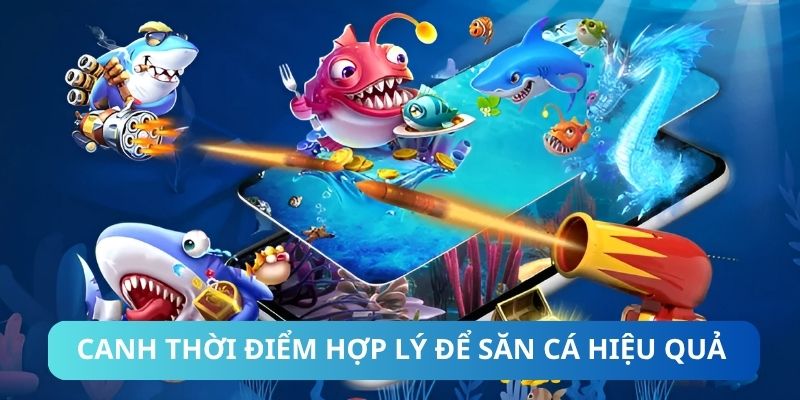 Canh thời điểm hợp lý để săn cá hiệu quả